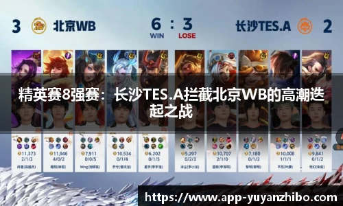 雨燕体育直播APP