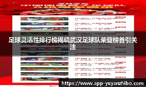 雨燕体育直播官方网站