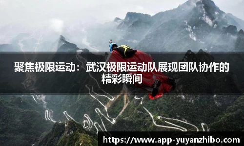 雨燕体育直播APP
