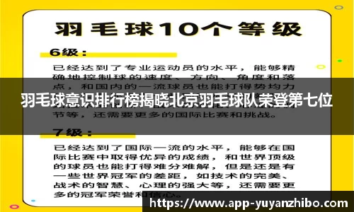 雨燕体育直播官方网站
