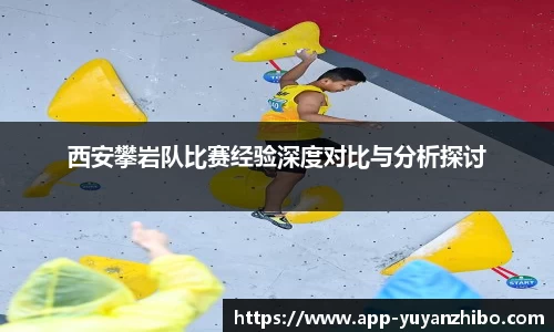 雨燕体育直播