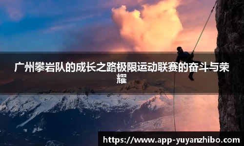 雨燕体育直播APP