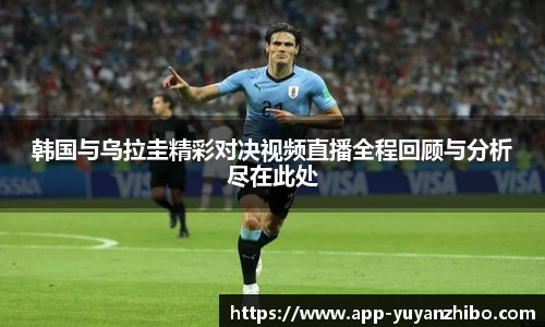 雨燕体育直播官方网站